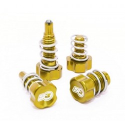 Kit Registri Leve S3 (AJP-BRAKTEC) ORO